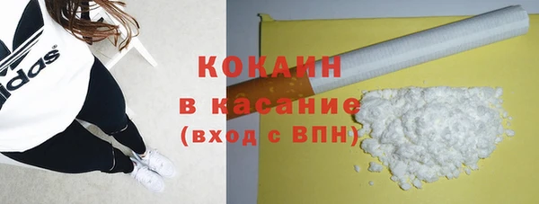 apvp Алексин