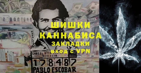 apvp Алексин