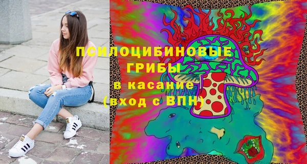 apvp Алексин